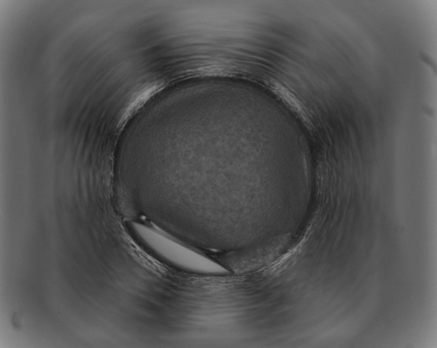 X0000091460930200709131731