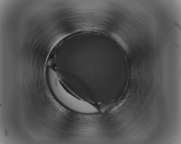 X0000091460932200709131731