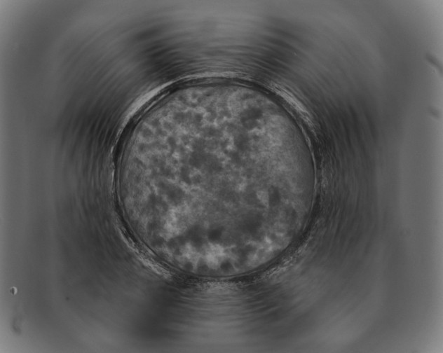 X0000091460933200709131731