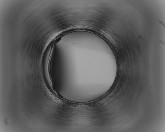 X0000091460934200709131731