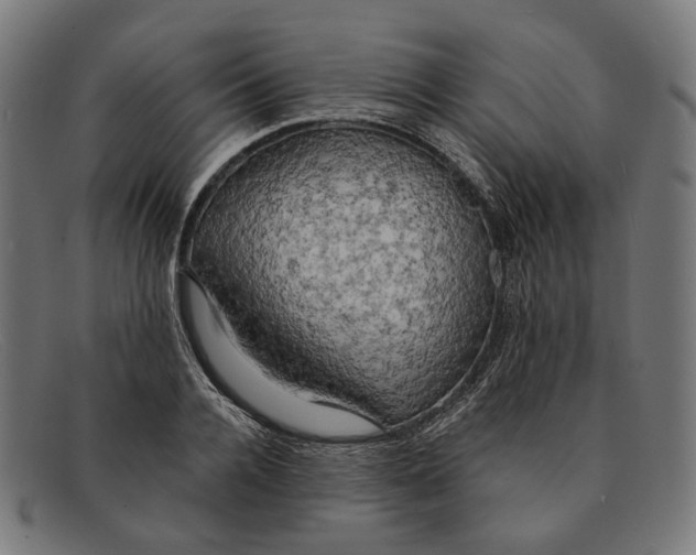 X0000091460936200709131731