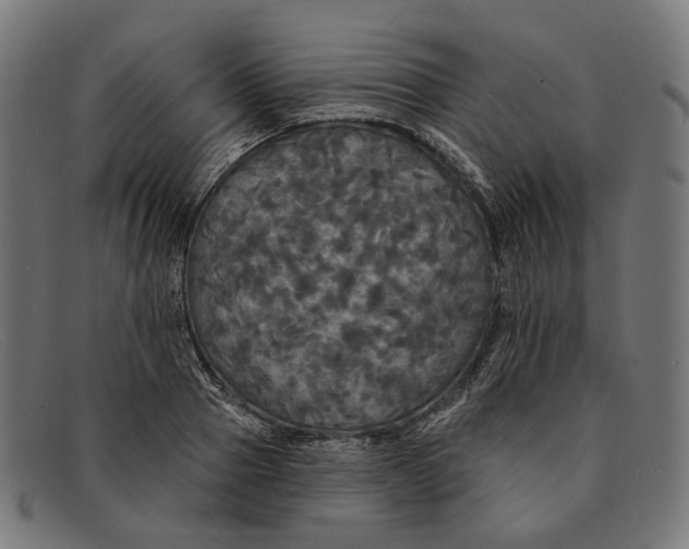X0000091460937200709131731