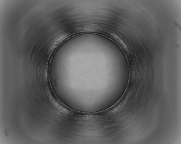 X0000091460938200709131731