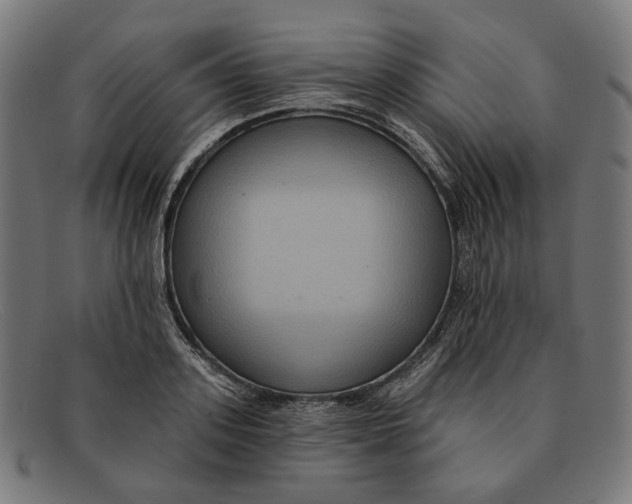 X0000091460939200709131731