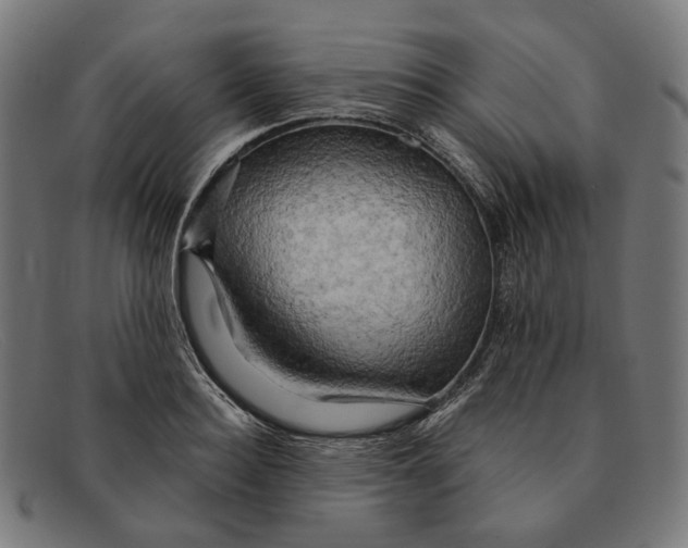X0000091460940200709131731