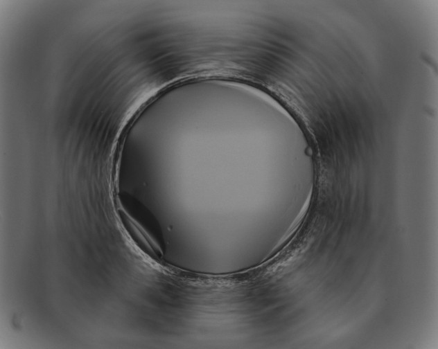 X0000091460941200709131731