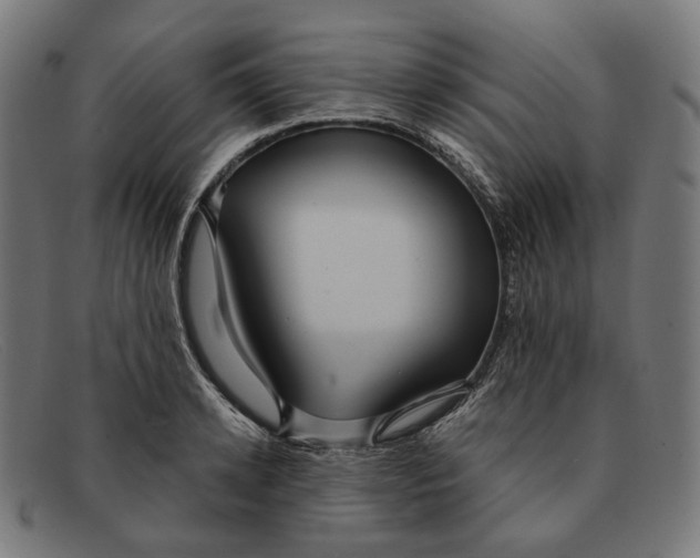 X0000091460942200709131731