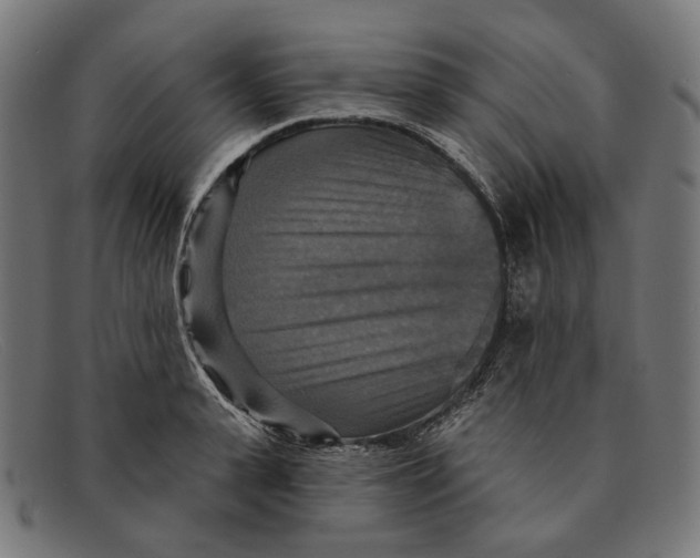X0000091460943200709131731