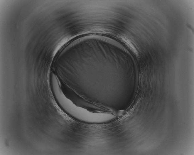 X0000091460944200709131731