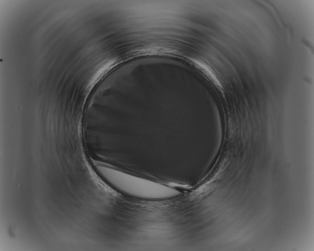 X0000091460946200709131731