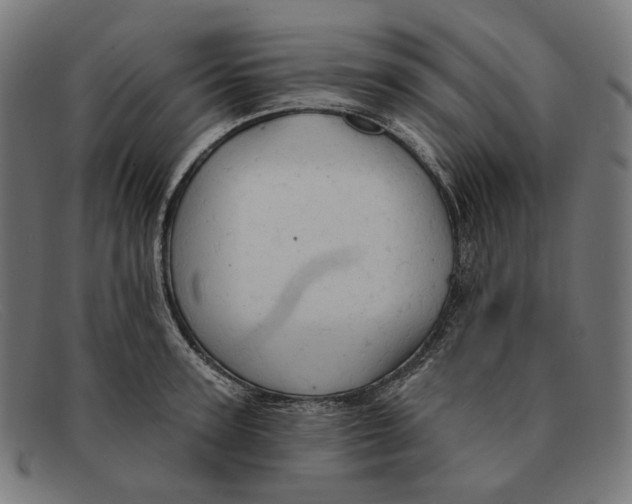 X0000091460947200709131731