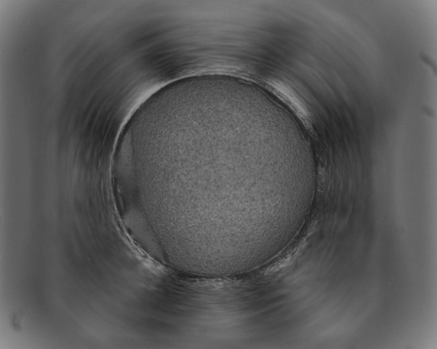 X0000091460948200709131731