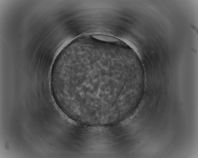 X0000091460949200709131731