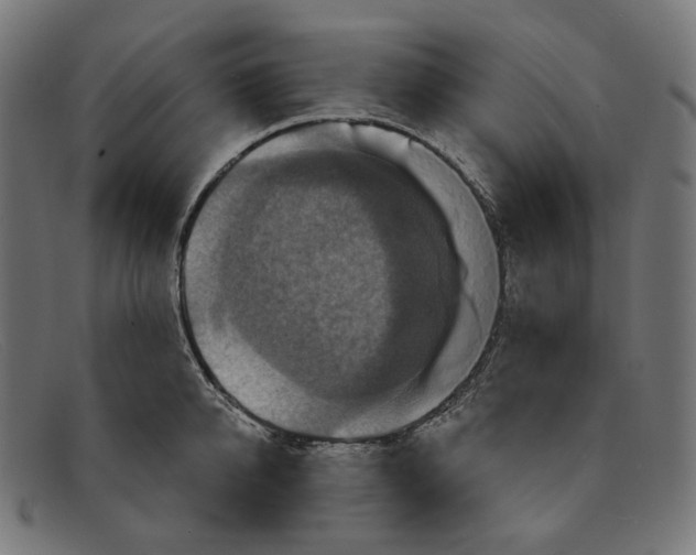 X0000091460950200709131731