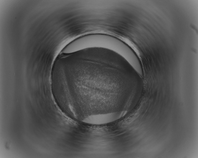 X0000091460951200709131731