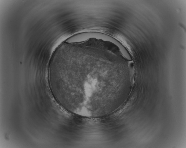 X0000091460952200709131731