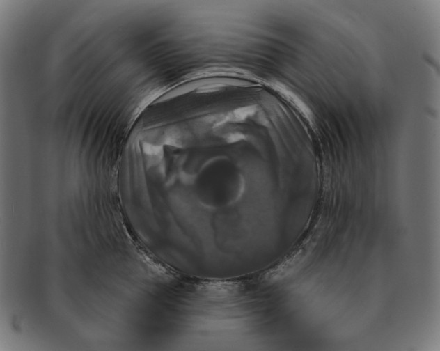 X0000091460953200709131731