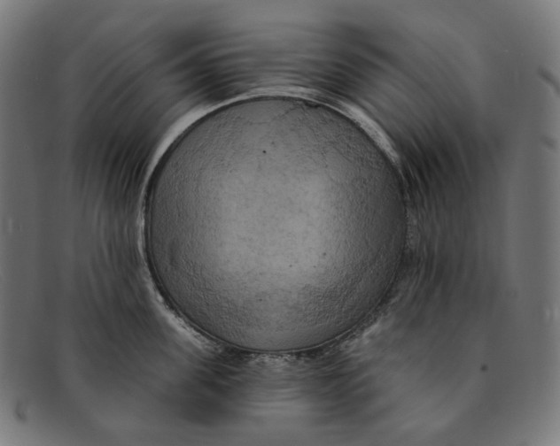X0000091460955200709131731