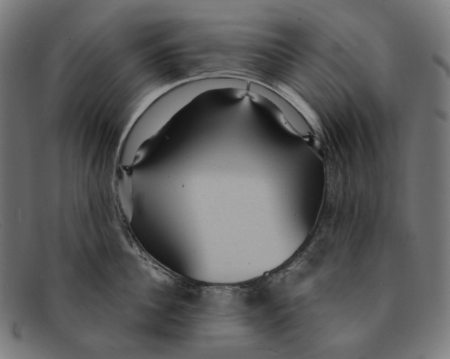 X0000091460956200709131731