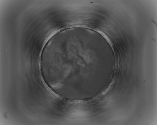 X0000091460957200709131731