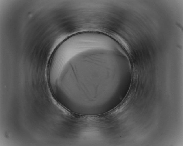 X0000091460958200709131731