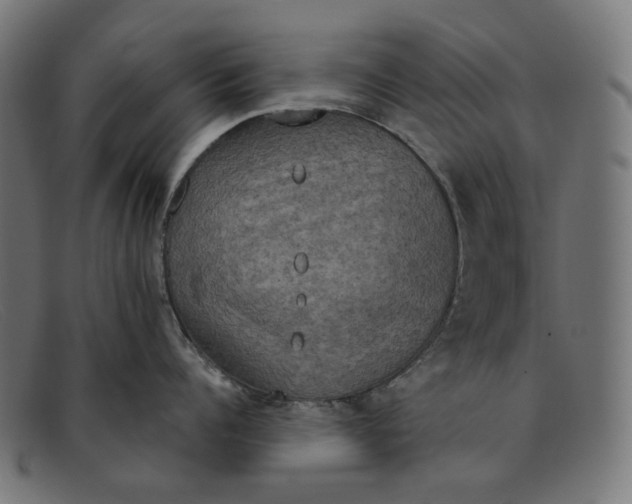 X0000091460960200709131731
