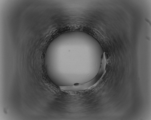 X0000091460961200709131731