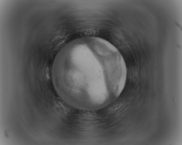 X0000091460962200709131731