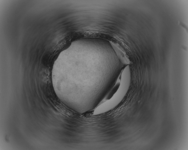 X0000091460964200709131731