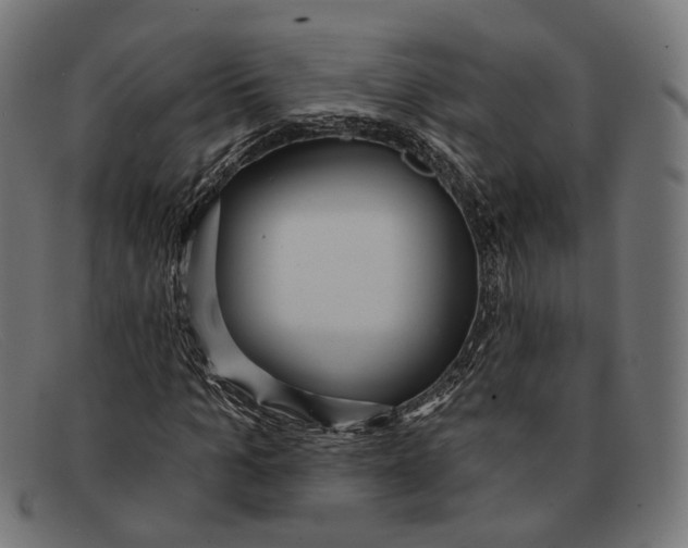 X0000091460965200709131731