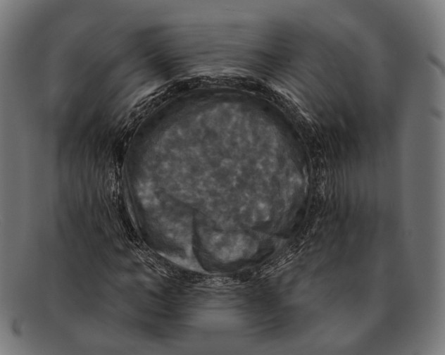 X0000091460966200709131730