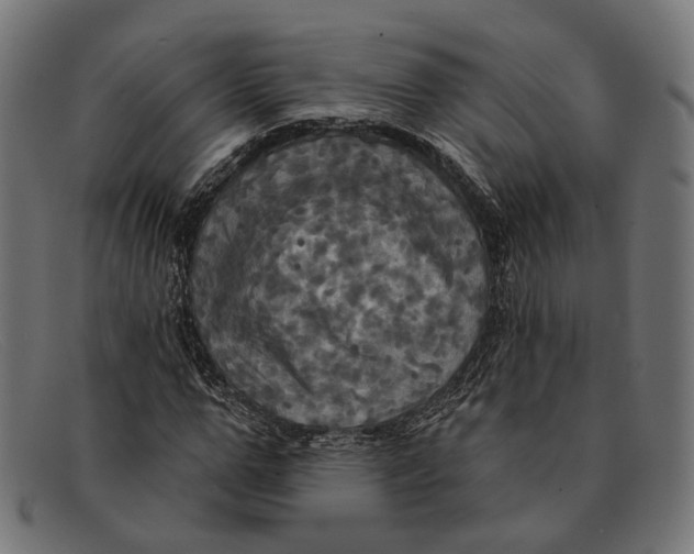 X0000091460967200709131730