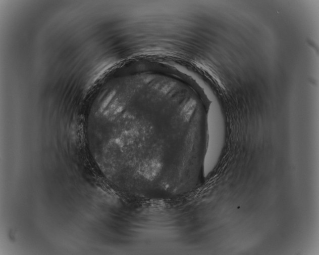 X0000091460968200709131730