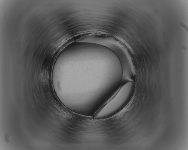 X0000091460969200709131730