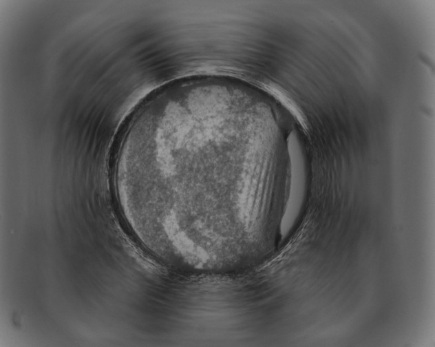 X0000091460972200709131730