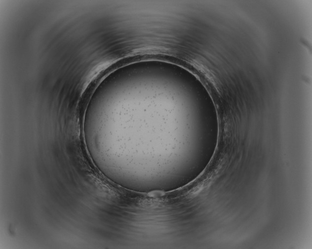 X0000091460973200709131730
