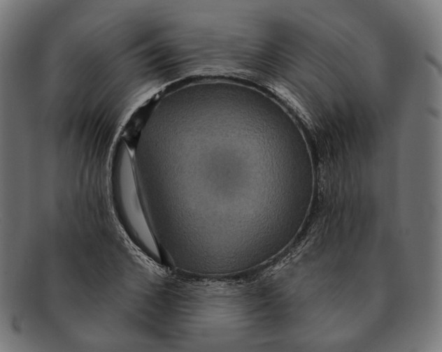 X0000091460976200709131730