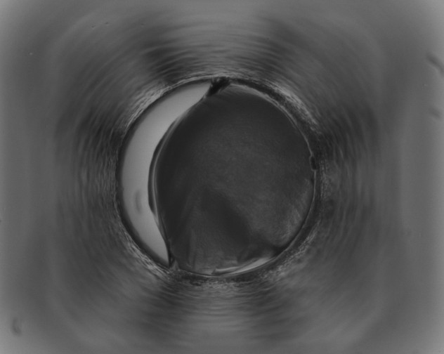 X0000091460977200709131730