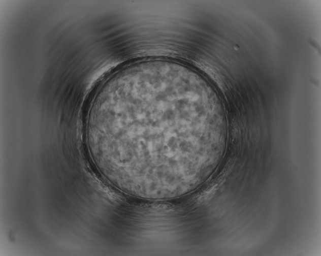 X0000091460979200709131730
