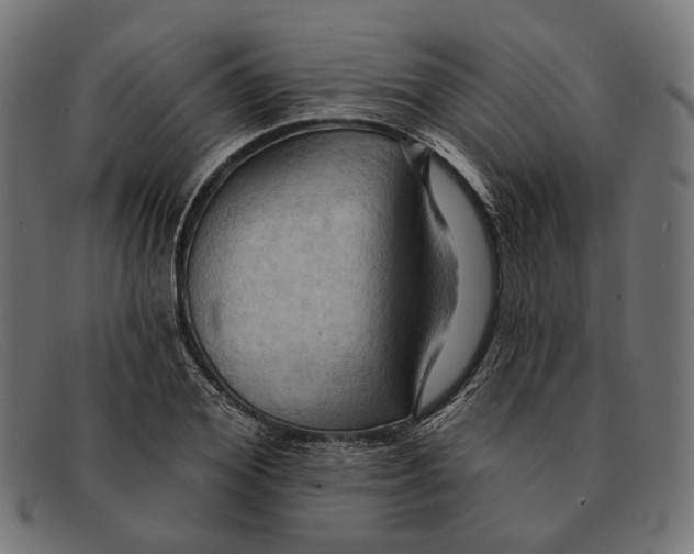 X0000091460980200709131730