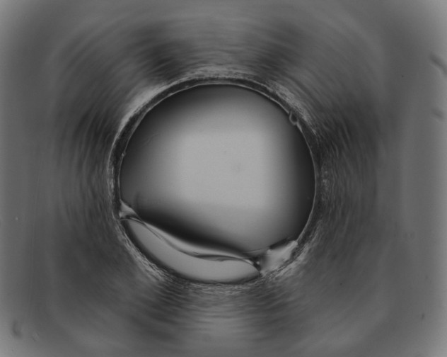 X0000091460981200709131730