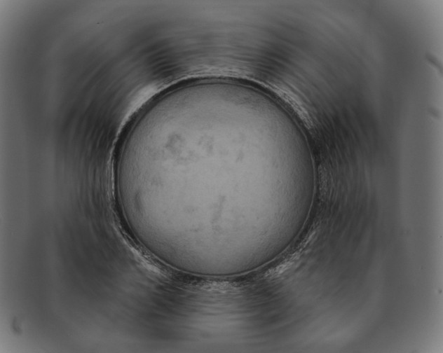 X0000091460982200709131730