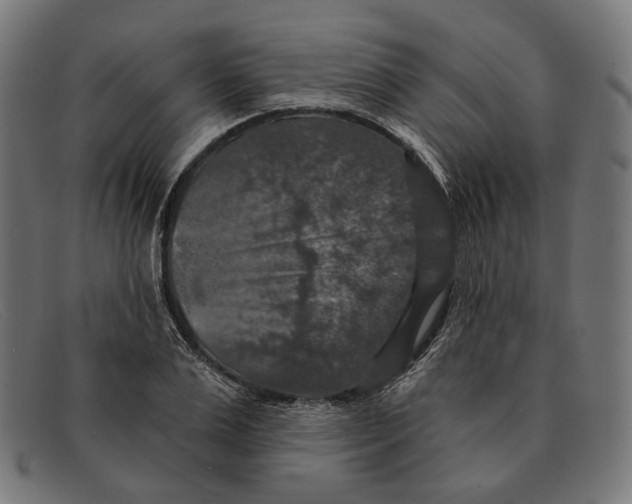 X0000091460983200709131730
