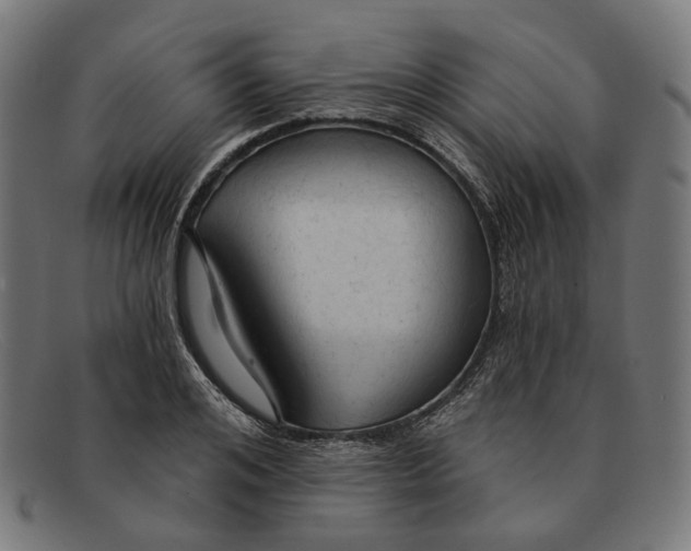 X0000091460984200709131730