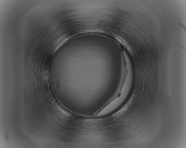 X0000091460985200709131730