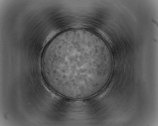 X0000091460986200709131730