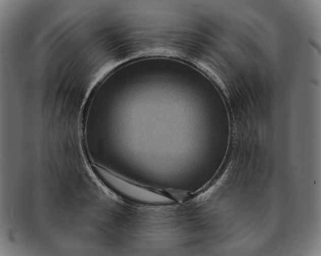 X0000091460989200709131730