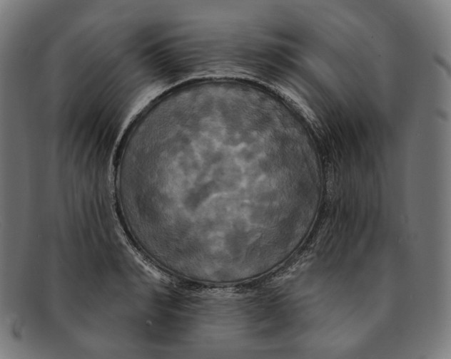 X0000091460990200709131730