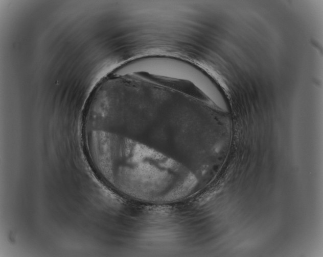X0000091460991200709131730