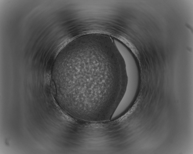 X0000091460993200709131730